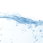 Why Transparency Matters in Service Platforms