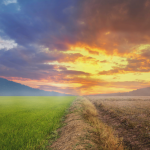 Future of Professional Services – What Businesses Need to Know