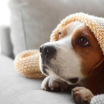 Why Seasonal Service Planning Is a Strategic Advantage