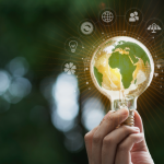 Eco-Conscious Service Providers and Why They Matter