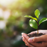 Sustainability in Service: Green Practices That Are Here to Stay