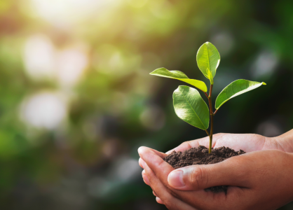Sustainability in Service: Green Practices That Are Here to Stay