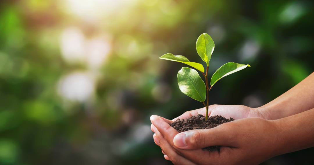 Sustainability in Service: Green Practices That Are Here to Stay