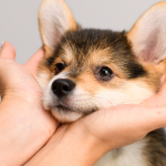 The Human Touch in a Digital World: Why Personalization Wins