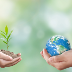 Sustainability in Services: Building Greener Operations