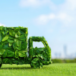 How Eco-Friendly Offerings Are Winning Customers