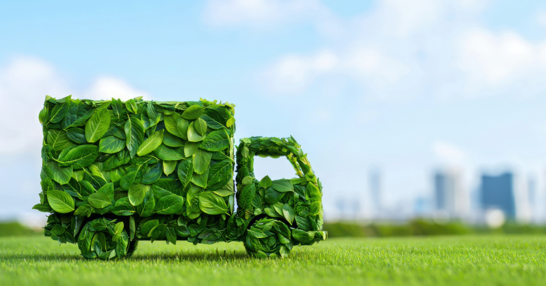 How Eco-Friendly Offerings Are Winning Customers