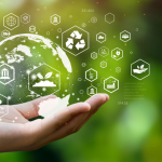 How Sustainability Is Reshaping Service Industries