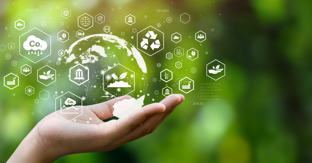 How Sustainability Is Reshaping Service Industries