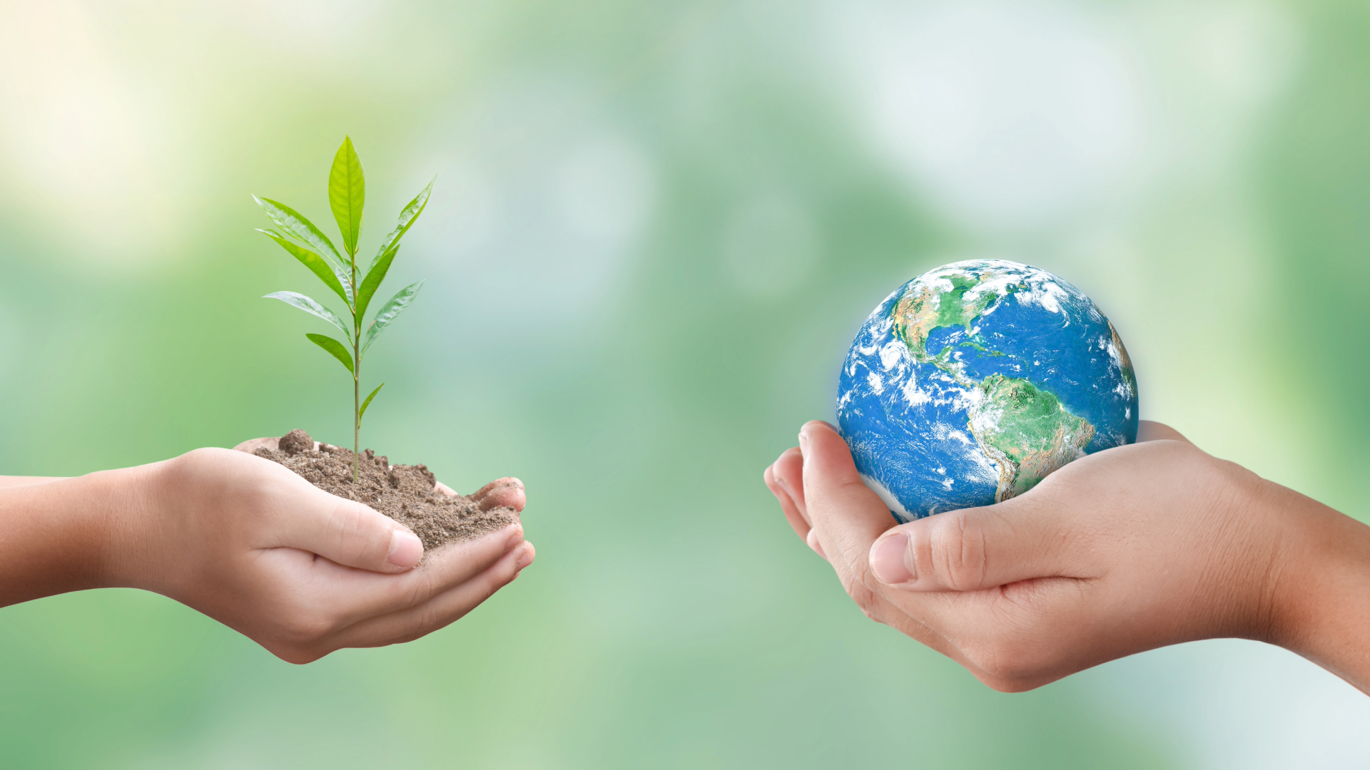 Sustainability as a Service