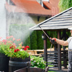 How Seasonal Services Are Becoming a Year-Round Market