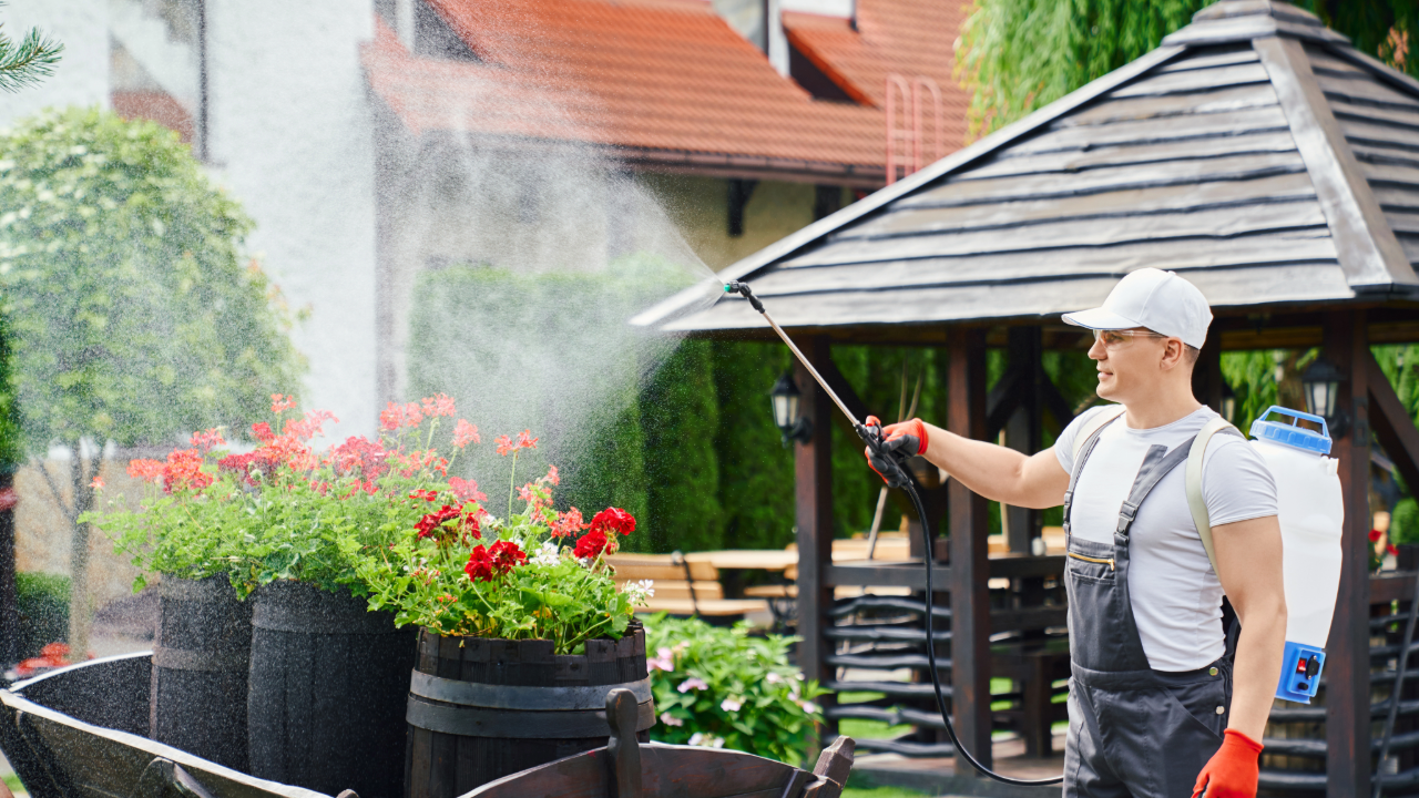 How Seasonal Services Are Becoming a Year-Round Market