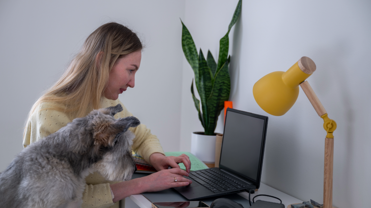 Remote Work Beyond 2025: Services That Will Thrive