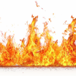 Emerging Service Opportunities: What’s Hot Right Now