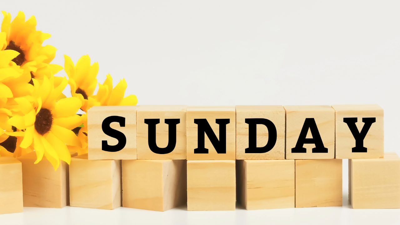 Sunday Feature: Your Service Growth Roadmap