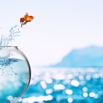 The Platform That Connects Talent, Opportunity, and Growth