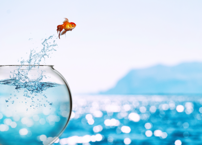 The Platform That Connects Talent, Opportunity, and Growth