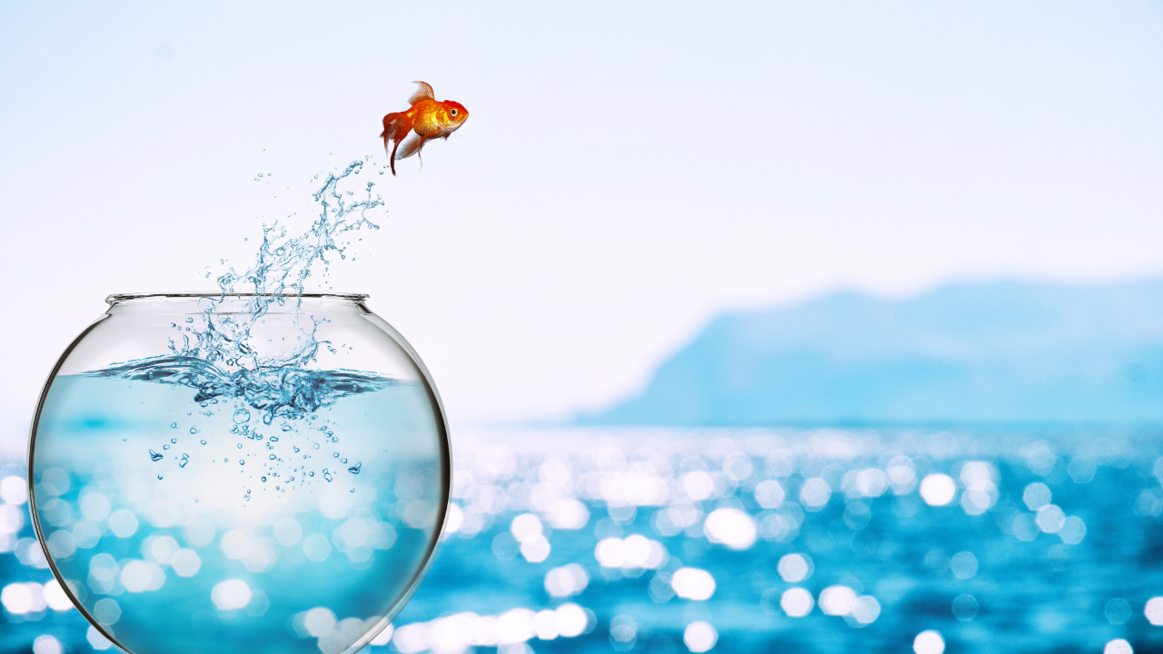 The Platform That Connects Talent, Opportunity, and Growth